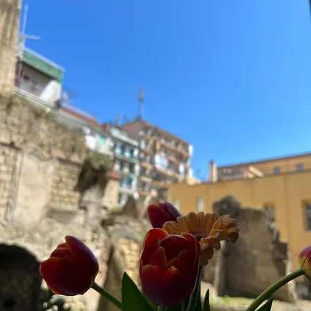 Centro, A Windows On The Monuments * ナポリ